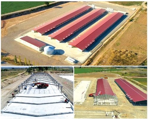 último caso de la compañía sobre Tres nuevas casetas de pollos de engorde de la tercera fase de la construcción de salas de engorde para pollos de engorde, con una capacidad de aproximadamente 147000 pollos de engorde.