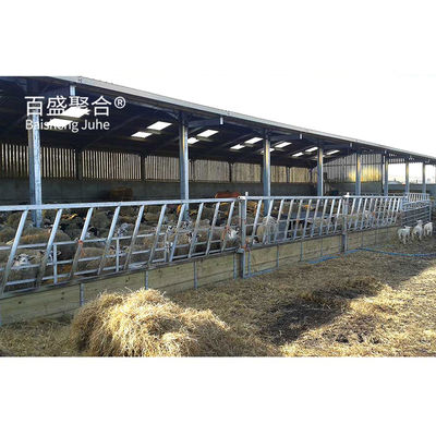 Construcción de metal estructura de acero personalizada para el cobertizo de vacas / cobertizo de ovejas / casa de cerdo