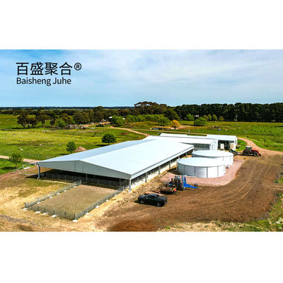 Construcción de metal estructura de acero personalizada para el cobertizo de vacas / cobertizo de ovejas / casa de cerdo