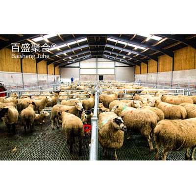 Construcción de metal estructura de acero personalizada para el cobertizo de vacas / cobertizo de ovejas / casa de cerdo