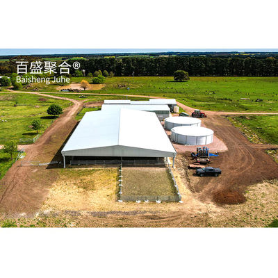 Construcción de metal estructura de acero personalizada para el cobertizo de vacas / cobertizo de ovejas / casa de cerdo