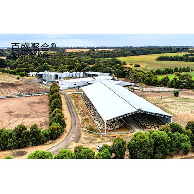 Construcción de metal estructura de acero personalizada para el cobertizo de vacas / cobertizo de ovejas / casa de cerdo