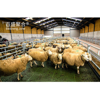 ISO9001 2008/CE/BV Certificado Galvanizado en caliente Estructura prefabricada de acero Edificio de ganado para cerdos y vacas