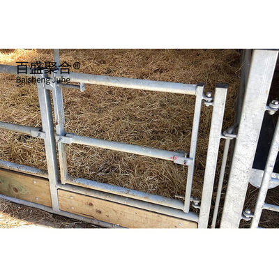ISO9001 2008/CE/BV Certificado Galvanizado en caliente Estructura prefabricada de acero Edificio de ganado para cerdos y vacas