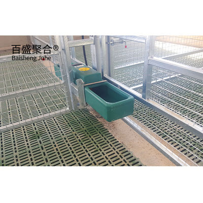ISO9001 2008/CE/BV Certificado Galvanizado en caliente Estructura prefabricada de acero Edificio de ganado para cerdos y vacas