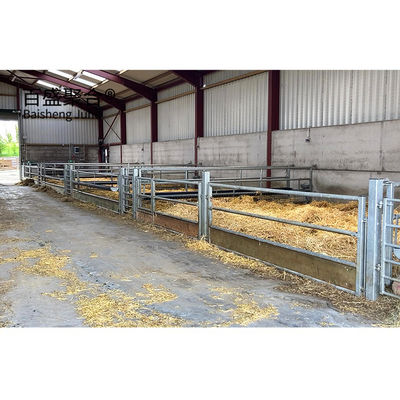 ISO9001 2008/CE/BV Certificado Galvanizado en caliente Estructura prefabricada de acero Edificio de ganado para cerdos y vacas