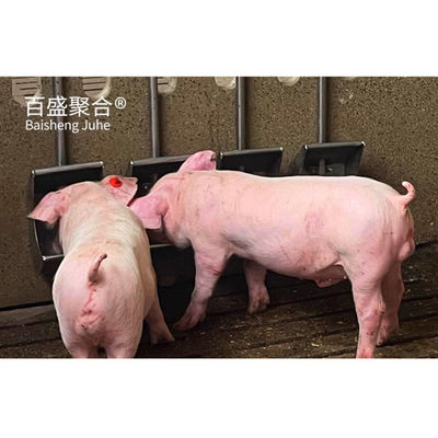 Peluqueros de crianza de cerdos con canal de acero en forma de C.Z y revestimiento galvanizado en caliente