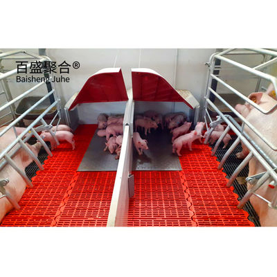 Peluqueros de crianza de cerdos con canal de acero en forma de C.Z y revestimiento galvanizado en caliente