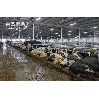 ISO9001 2008/CE/BV: vigas prefabricadas de acero H vigas de ganado para vacas