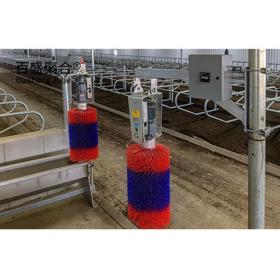 ISO9001 2008/CE/BV: vigas prefabricadas de acero H vigas de ganado para vacas