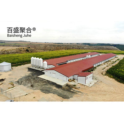 Galvanizado en caliente estructura de acero moderna cobertizo de pollo granja de aves de corral huevo de pollo casas