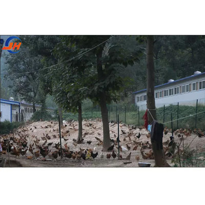 Grado de acero diseño moderno gallinero para la granja de aves de corral Casa estructura de acero Granja cobertizo