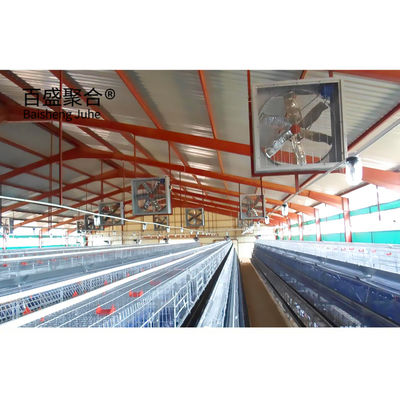 Estructura de acero galvanizado en caliente Granja de aves de corral de gallinas para capacidad de carga pesada