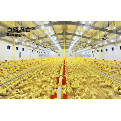 Estructura de acero galvanizado en caliente Granja de aves de corral de gallinas para capacidad de carga pesada