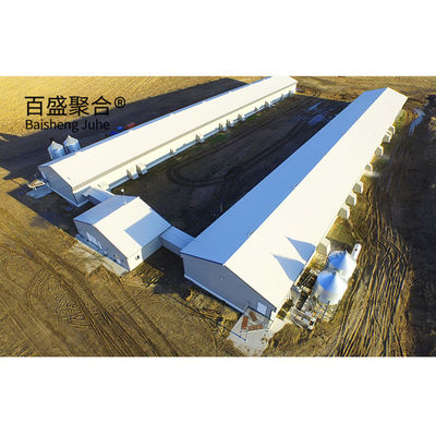 Galvanizado en caliente Coop de pollo de diseño moderno para la granja de aves de corral Casa de estructura de acero Granero