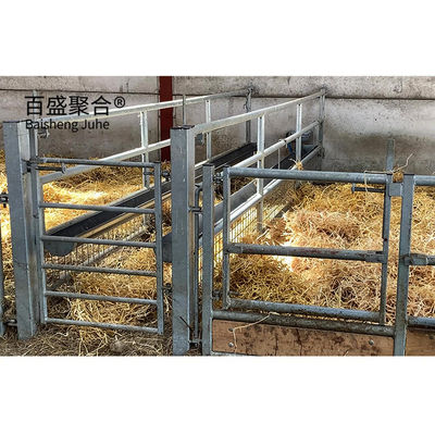 C.Z forma personalizable Canal de acero Purlin Caballo de ovejas Casa para la gestión del ganado