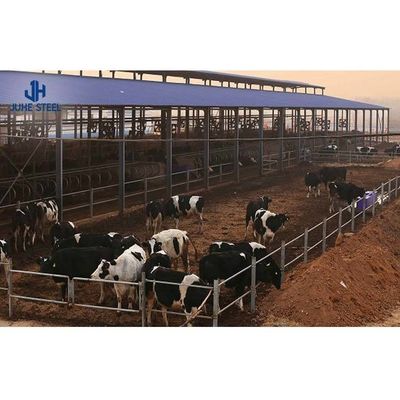Puerta de rodillos estructura prefabricada de acero casa de vacas para aves de corral cobertizo comercial