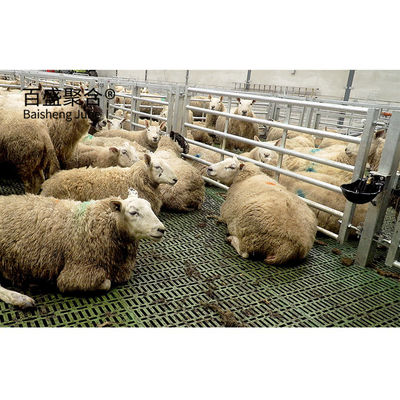 Construcción prefabricada de estructura de acero estándar ASTM para vacas ovejas casas de ganado granjas