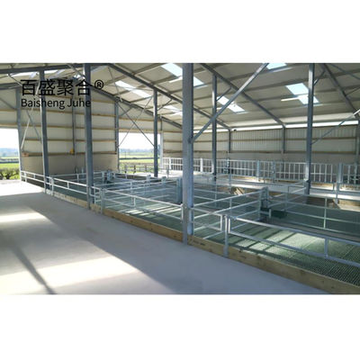 Construcción de estructuras de acero para cabras y ovejas Granjas de vacas y ganado
