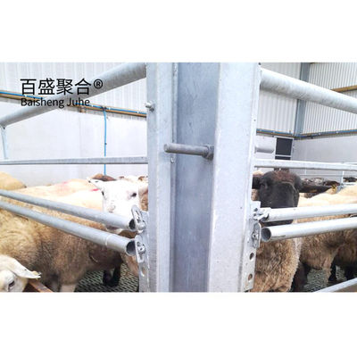 Construcción de estructuras de acero para cabras y ovejas Granjas de vacas y ganado