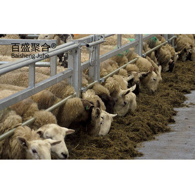 Q235 Solución de cultivo de acero de acero con bajo contenido de carbono para una vivienda animal eficaz y segura