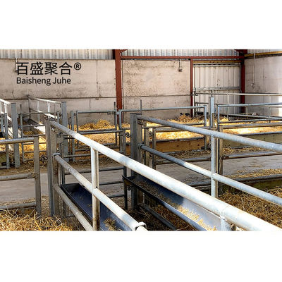 Q235 Solución de cultivo de acero de acero con bajo contenido de carbono para una vivienda animal eficaz y segura