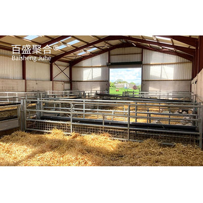 Grado de acero H vigas usadas en el edificio de la granja de vacas/vacas/ovejas/pollos prefabricados