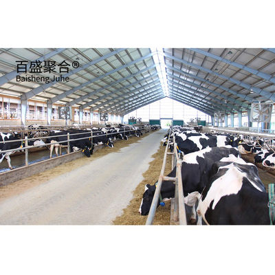 Casa de vacas prefabricada pesada y eficientemente diseñada con una carcasa en forma de C.Z