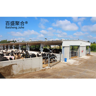 Casa de vacas prefabricada pesada y eficientemente diseñada con una carcasa en forma de C.Z