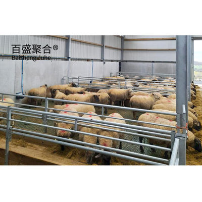 Optimizar la agricultura con el diseño de cobertizos de cabras de acero y equipos certificados ISO9001 2008/CE/BV