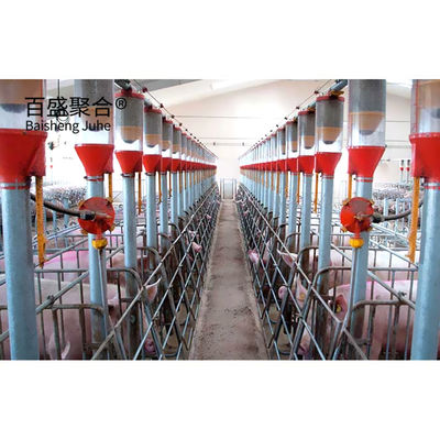 Estructura de acero de larga envergadura cobertizo de cerdos para hogar de cervecería agrícola Diseño de construcción