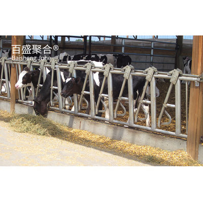 Construcción de acero certificada ISO9001 2008/CE/BV Granja de vacas para la cría de cabras