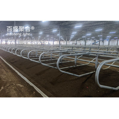 Construcción de acero certificada ISO9001 2008/CE/BV Granja de vacas para la cría de cabras