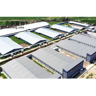 ISO9001 2008/CE/BV Certificado Plan de negocio de crianza de cerdos para jaulas y perchas personalizadas