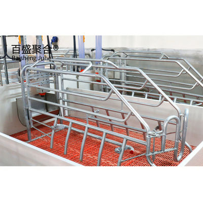 ISO9001 2008/CE/BV Certificado Plan de negocio de crianza de cerdos para jaulas y perchas personalizadas