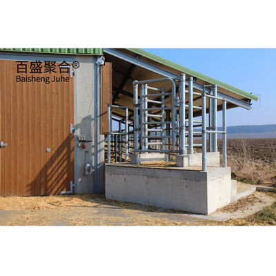 Estructura de acero Granja de vacas Granja lechera Granja de cerdos / ovejas / cabras Casa Granja de vacas Granja de vacas con ventana de aleación de aluminio