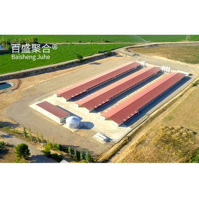 ± 1% Tolerancia Construcción rápida estructura de acero Casa de gallinas para granjas de aves prefabricadas