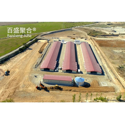 ± 1% Tolerancia Construcción rápida estructura de acero Casa de gallinas para granjas de aves prefabricadas