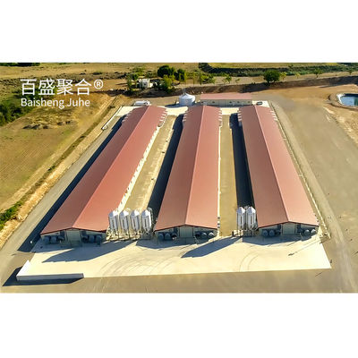 ± 1% Tolerancia Construcción rápida estructura de acero Casa de gallinas para granjas de aves prefabricadas