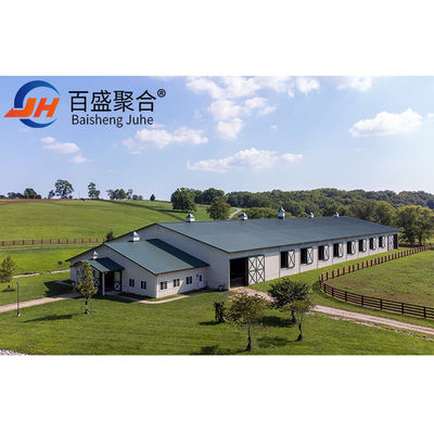 ISO9001 2008/CE/BV Certificado Granja de aves de corral moderna Estructura de acero ligero Casita de pollo
