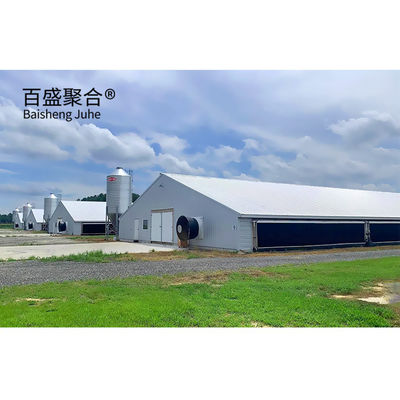 Pollo galvanizado de tipo A de las jaulas de pollo con certificación ISO9001 2008/CE/BV
