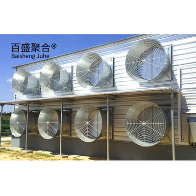 Galvanizado en caliente en forma de canal de acero C.Z. Casita de pollo prefabricada para granjas avícolas