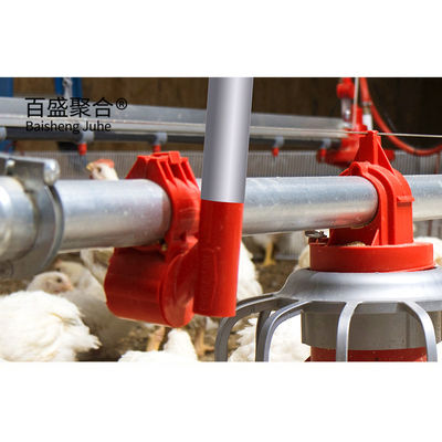 Galvanizado en caliente en forma de canal de acero C.Z. Casita de pollo prefabricada para granjas avícolas