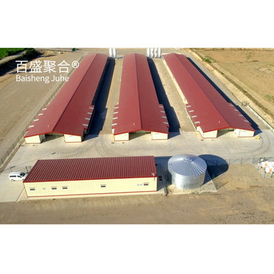 Galvanizado en caliente en forma de canal de acero C.Z. Casita de pollo prefabricada para granjas avícolas