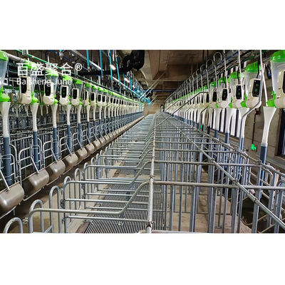 Estructuras de acero galvanizadas en caliente/de pintura por rociado para almacenes de granjas de cerdos