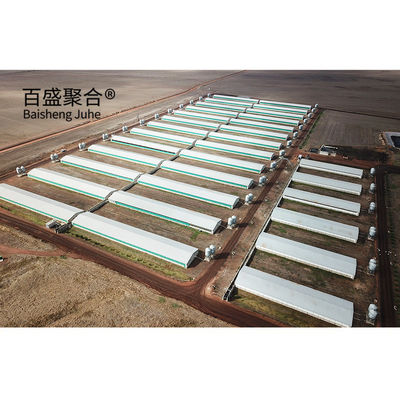 Estructuras de acero galvanizadas en caliente/de pintura por rociado para almacenes de granjas de cerdos