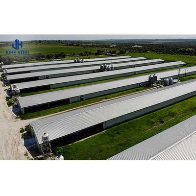 Equipo de cultivo de aves de corral de acero personalizado para diseño y construcción de gallineras