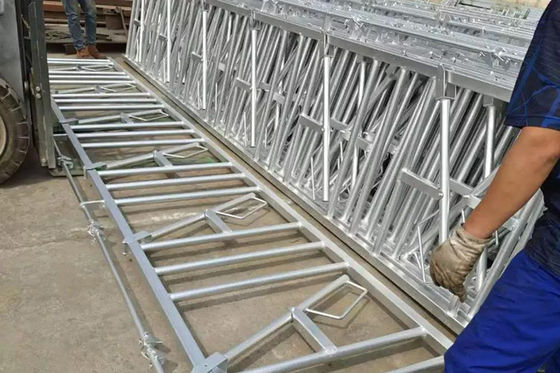 Granja de almacenamiento prefabricado de aluminio de aleación de ventana para vigas de acero Casa de cerdos
