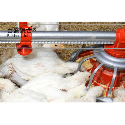 Certificado ISO9001 2008/CE/BV Con marco de acero Granja de pollos para cobertizo de aves de corral de lado abierto Tipo