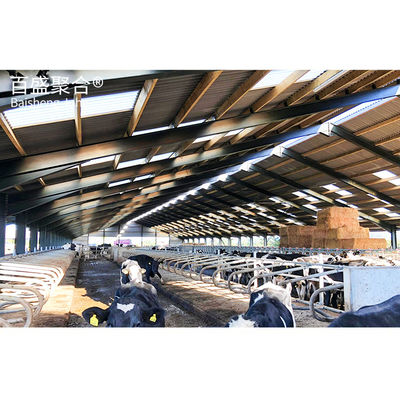 Estructura de acero personalizable para la ganadería láctea, galvanizado en caliente y rociado de pintura